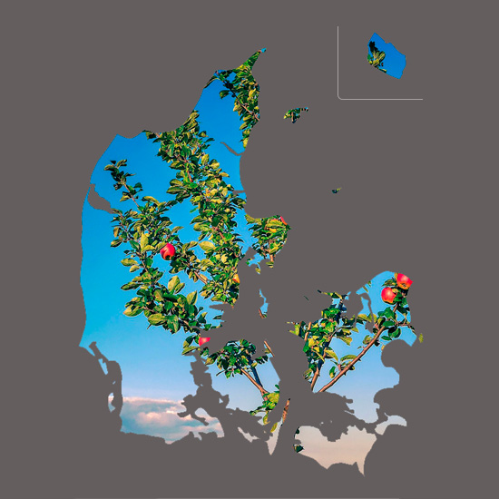 Levering i hele Danmark - Frugt.dk - Firmafrugt - Frugtordning