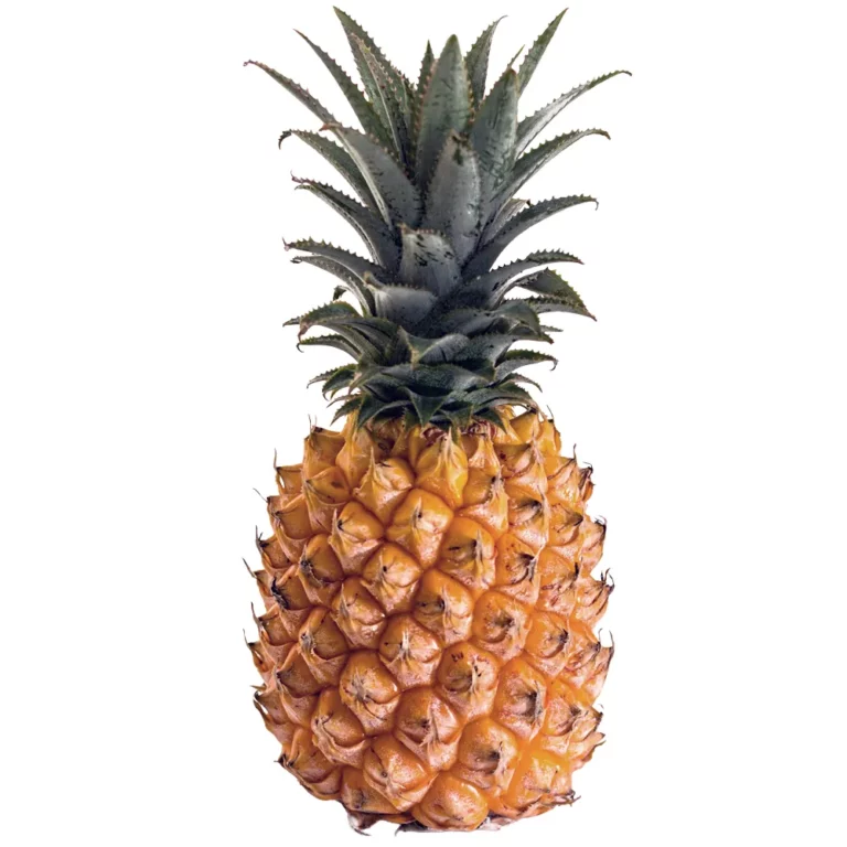 Alt-tekst: Ananas til Sammensæt selv firmafrugt