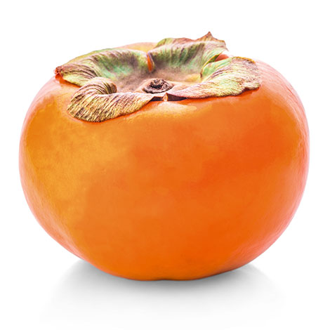 kaki