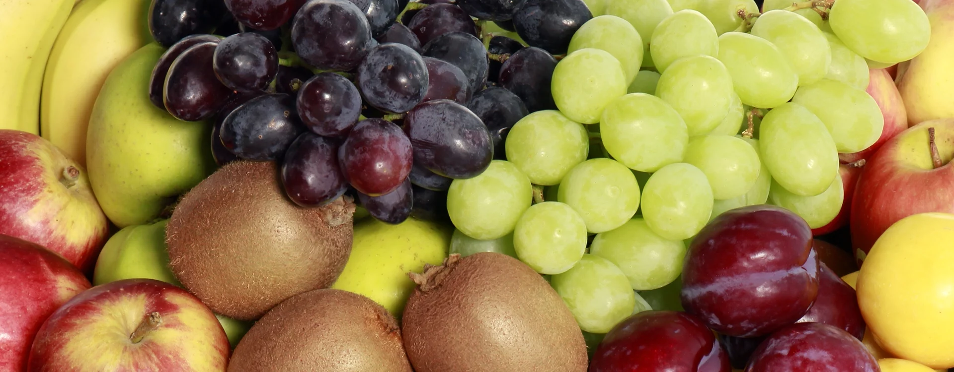 Frisk blandet frugt til frugtordning hos Frugt.dk